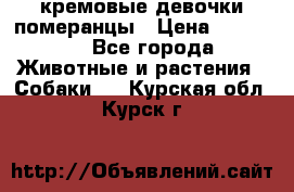 кремовые девочки померанцы › Цена ­ 30 000 - Все города Животные и растения » Собаки   . Курская обл.,Курск г.